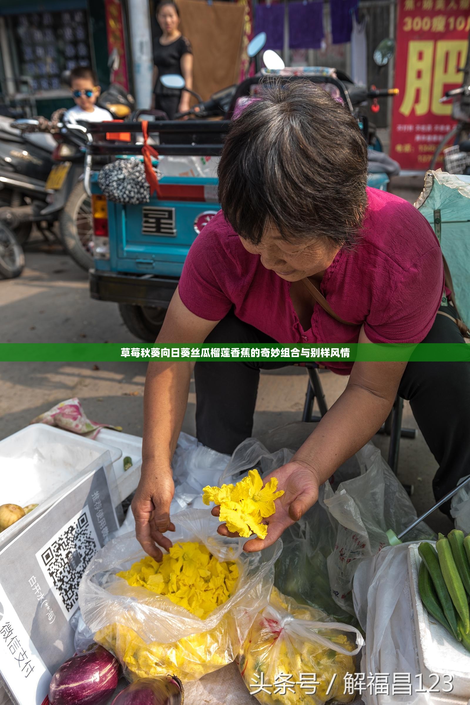 草莓秋葵向日葵丝瓜榴莲香蕉的奇妙组合与别样风情