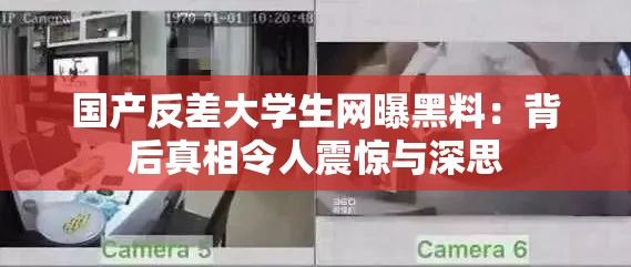 国产反差大学生网曝黑料：背后真相令人震惊与深思