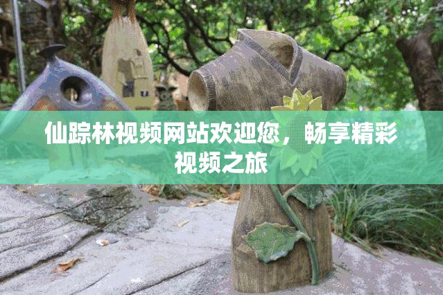 仙踪林视频网站欢迎您，畅享精彩视频之旅