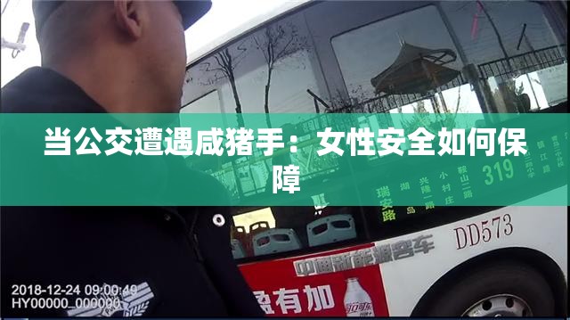 当公交遭遇咸猪手：女性安全如何保障