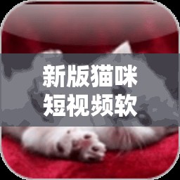 新版猫咪短视频软件：精彩内容不断等你来发现