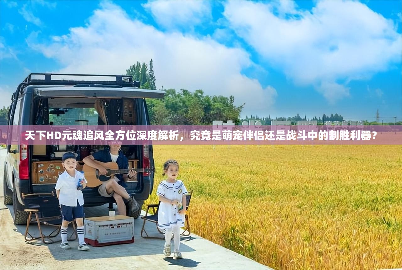 天下HD元魂追风全方位深度解析，究竟是萌宠伴侣还是战斗中的制胜利器？