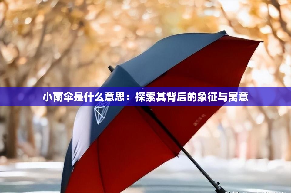 小雨伞是什么意思：探索其背后的象征与寓意