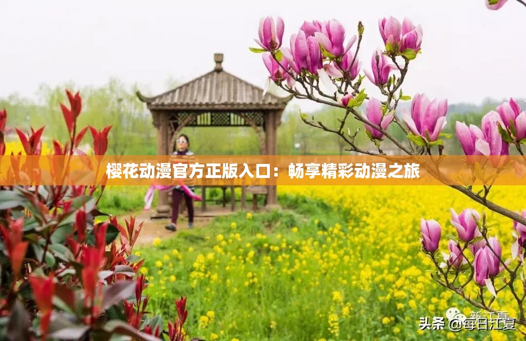 樱花动漫官方正版入口：畅享精彩动漫之旅