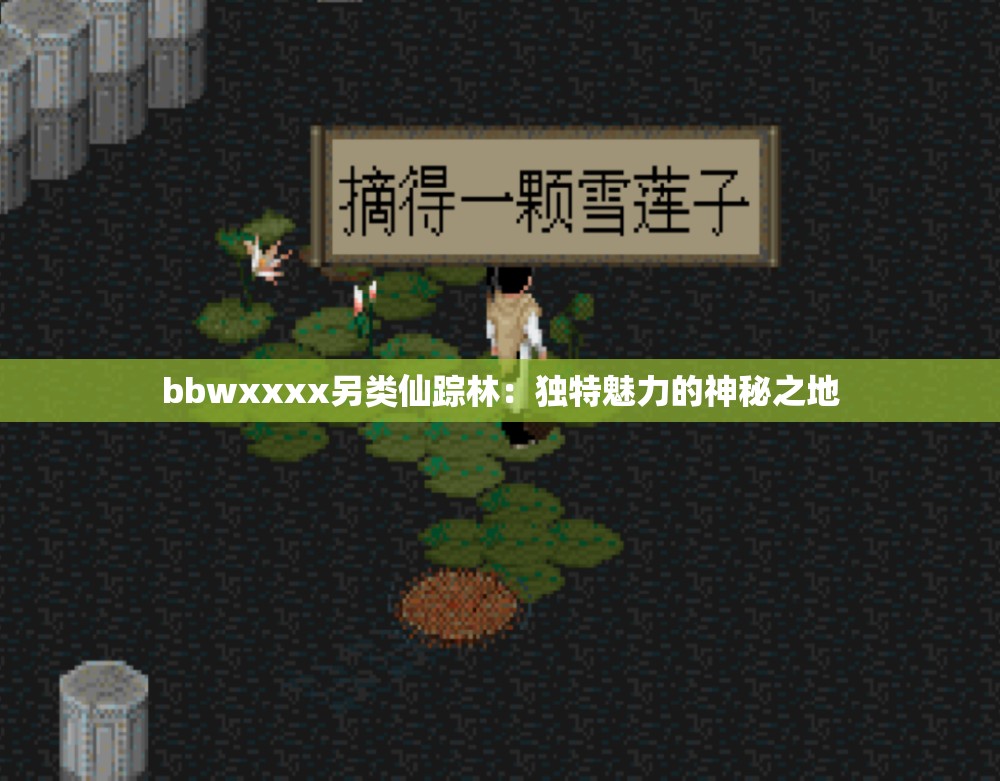 bbwxxxx另类仙踪林：独特魅力的神秘之地