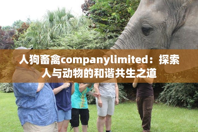 人狗畜禽companylimited：探索人与动物的和谐共生之道