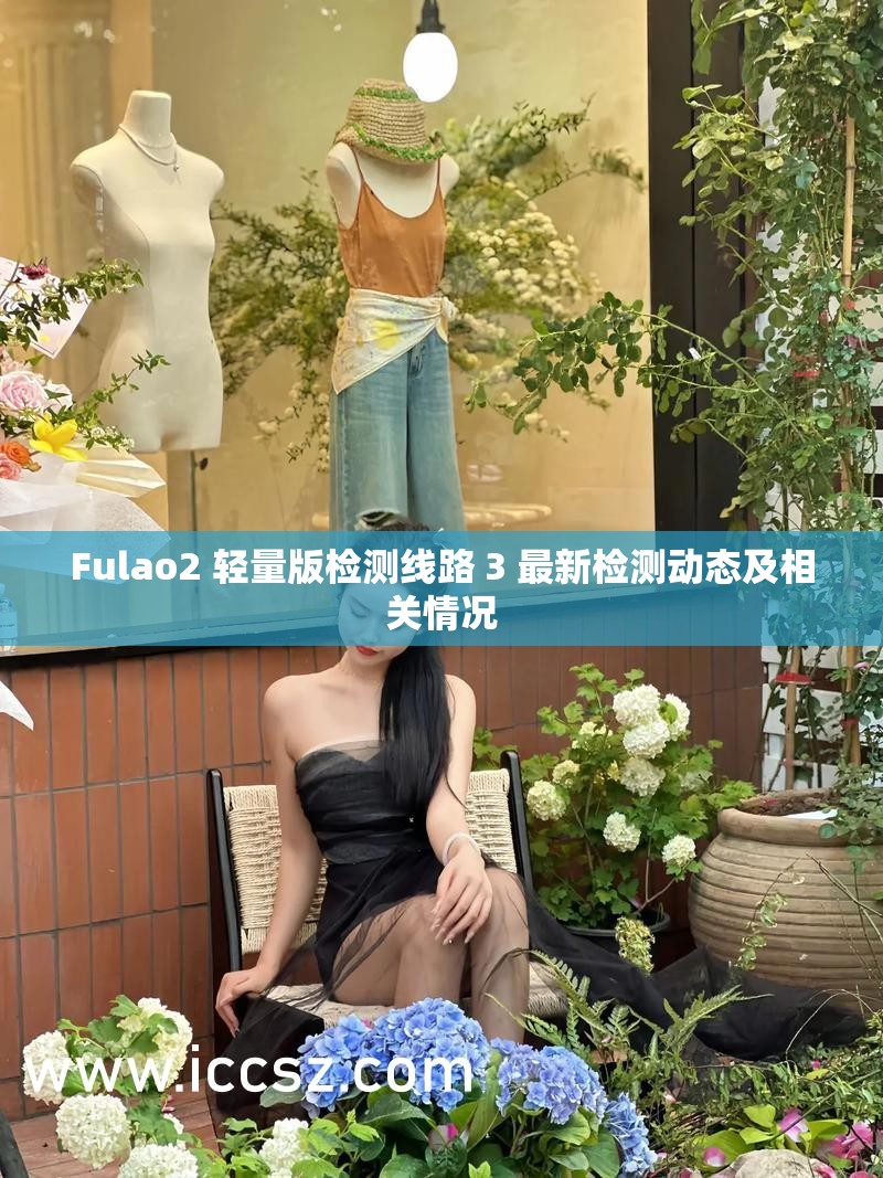 Fulao2 轻量版检测线路 3 最新检测动态及相关情况