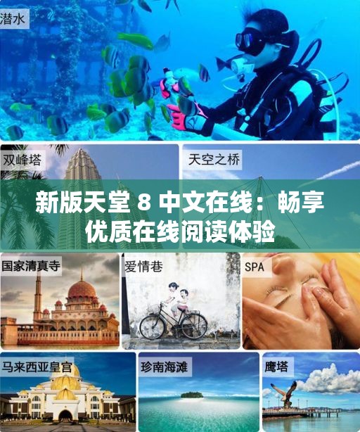 新版天堂 8 中文在线：畅享优质在线阅读体验