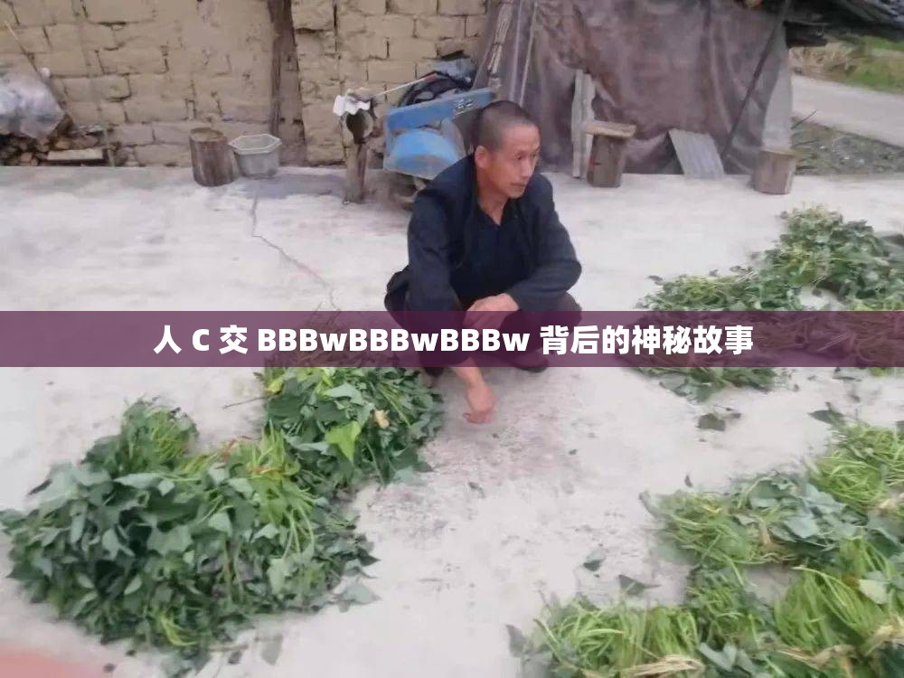 人 C 交 BBBwBBBwBBBw 背后的神秘故事