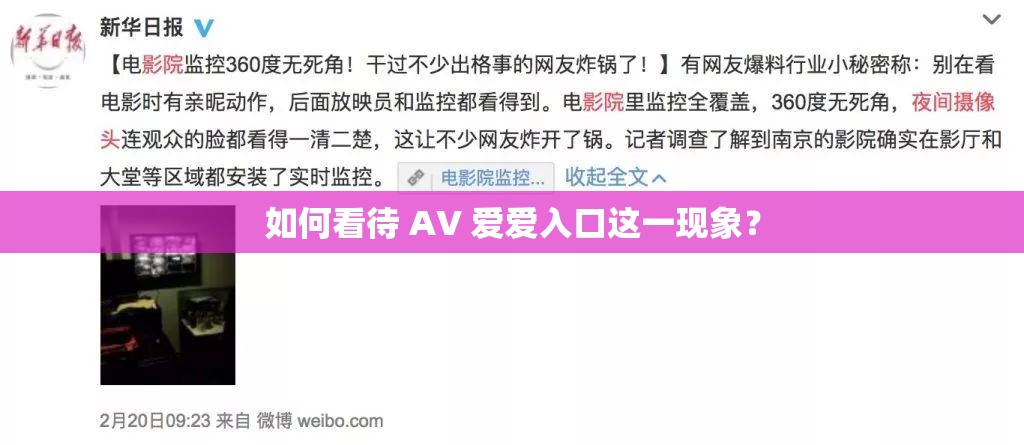 如何看待 AV 爱爱入口这一现象？