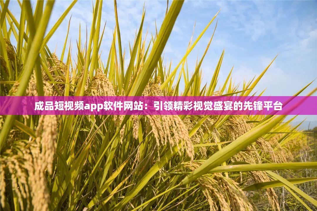 成品短视频app软件网站：引领精彩视觉盛宴的先锋平台