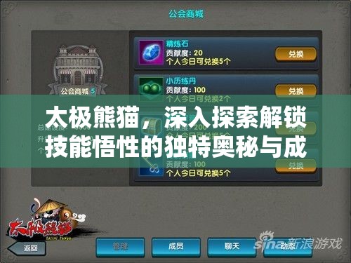 太极熊猫，深入探索解锁技能悟性的独特奥秘与成长之旅