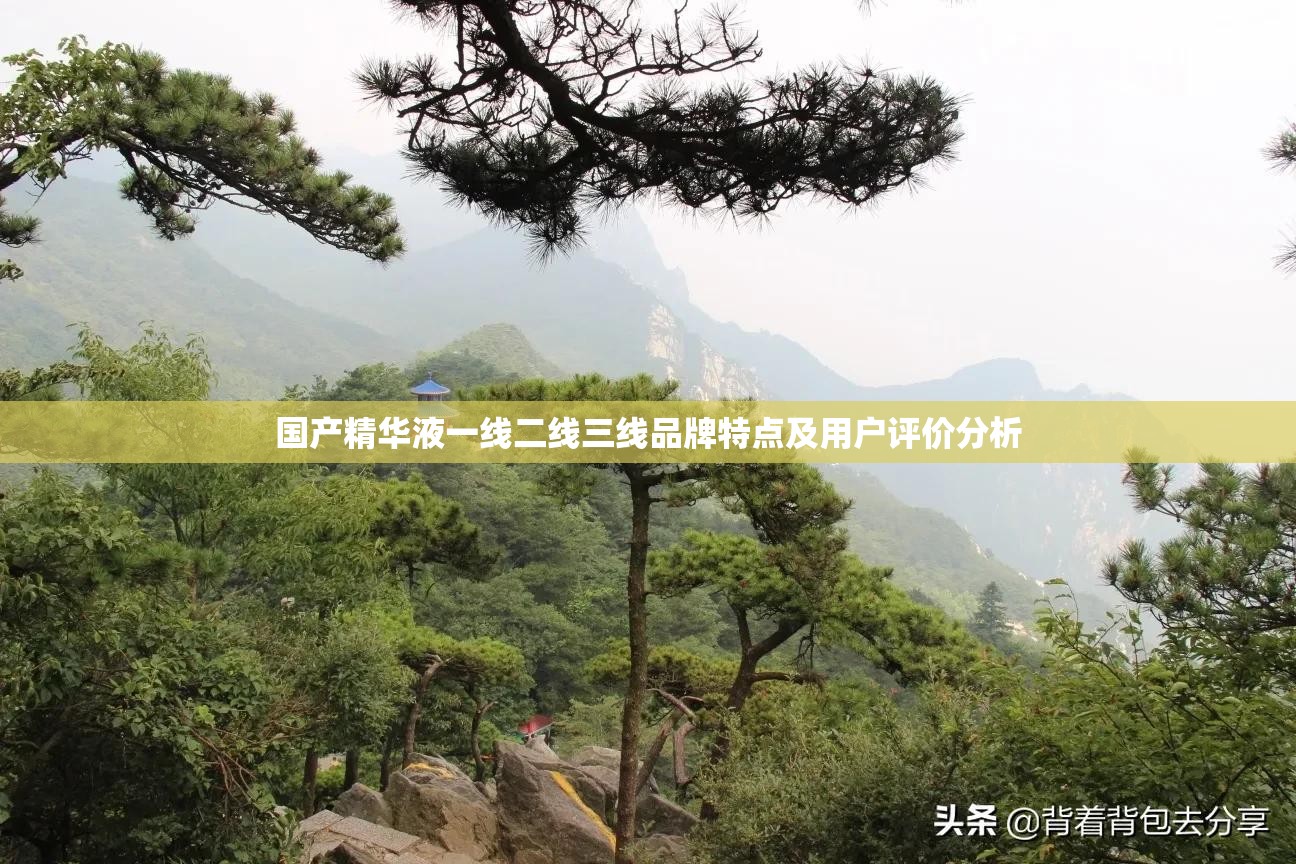 国产精华液一线二线三线品牌特点及用户评价分析