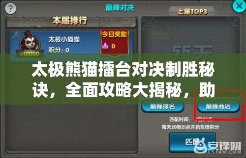 太极熊猫擂台对决制胜秘诀，全面攻略大揭秘，助你战无不胜