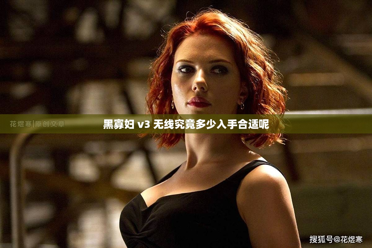 黑寡妇 v3 无线究竟多少入手合适呢