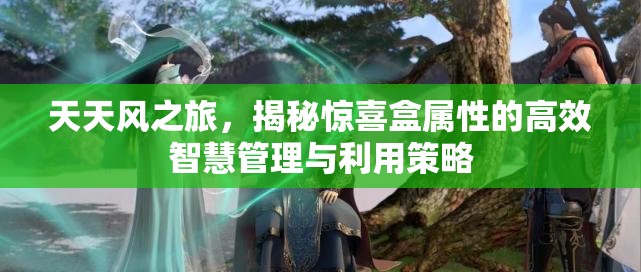 天天风之旅，揭秘惊喜盒属性的高效智慧管理与利用策略