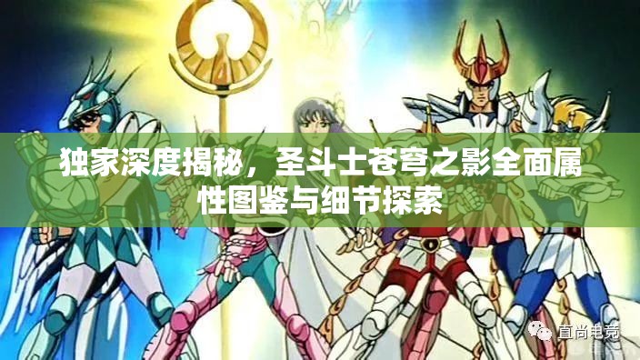 独家深度揭秘，圣斗士苍穹之影全面属性图鉴与细节探索