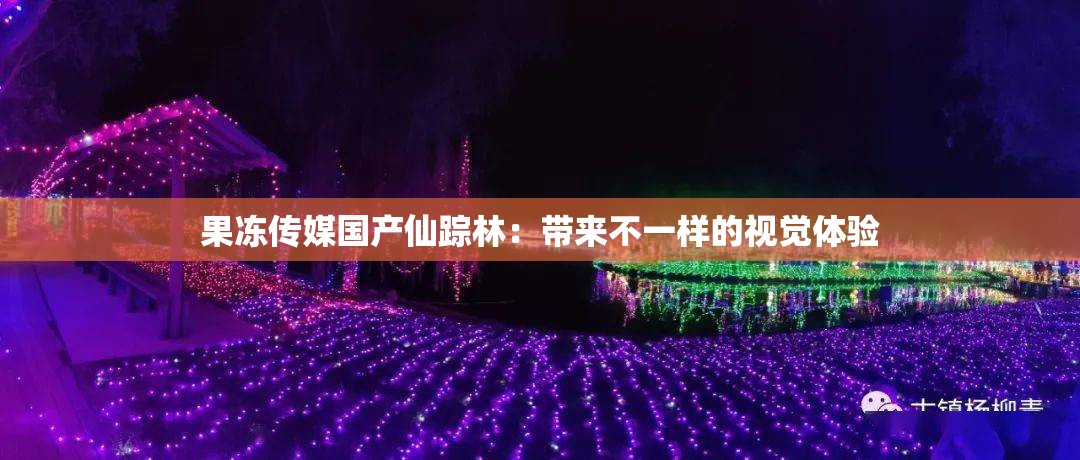 果冻传媒国产仙踪林：带来不一样的视觉体验