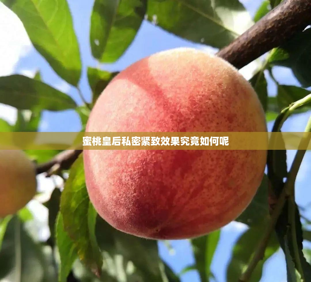 蜜桃皇后私密紧致效果究竟如何呢