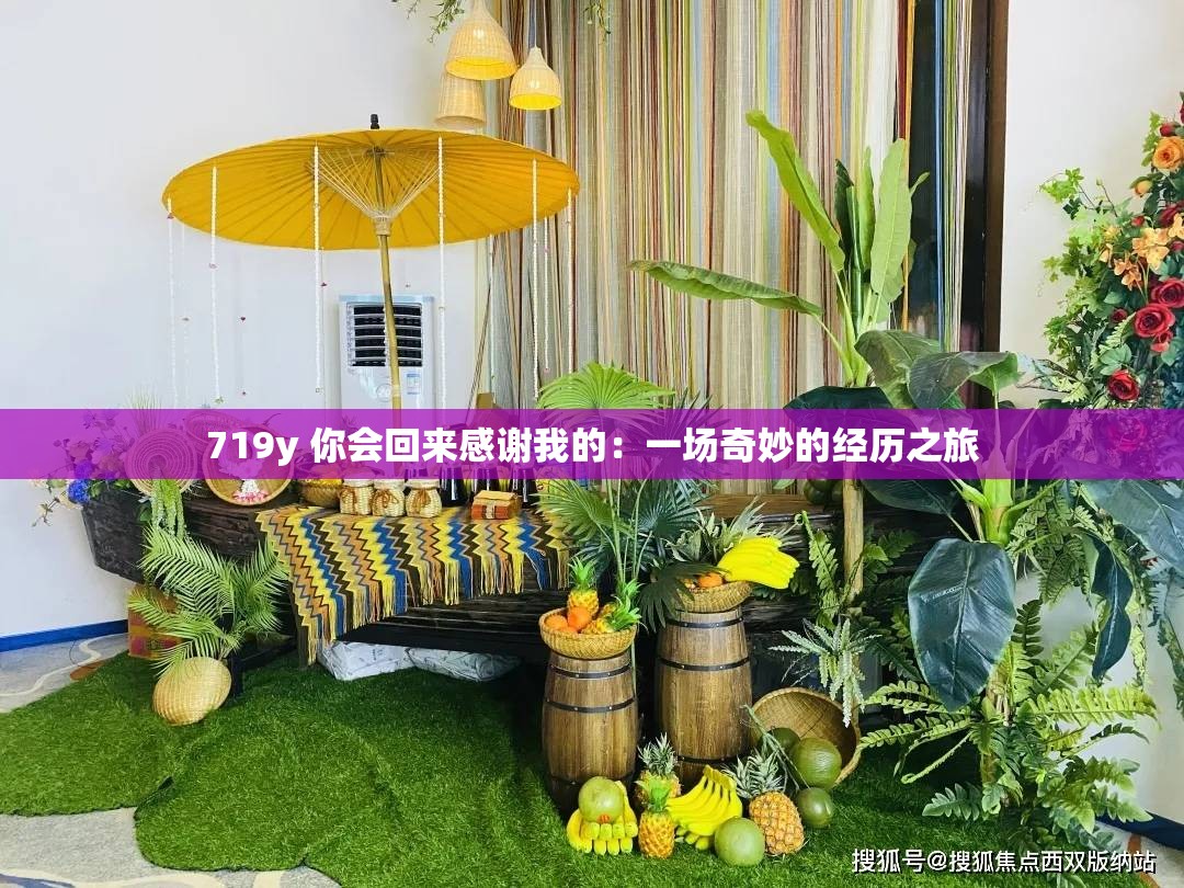 719y 你会回来感谢我的：一场奇妙的经历之旅