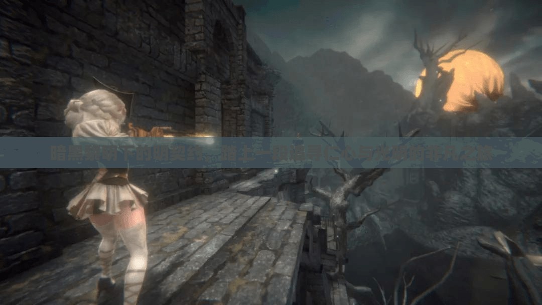 暗黑黎明下的明契约，踏上一段追寻仁心与光明的非凡之旅