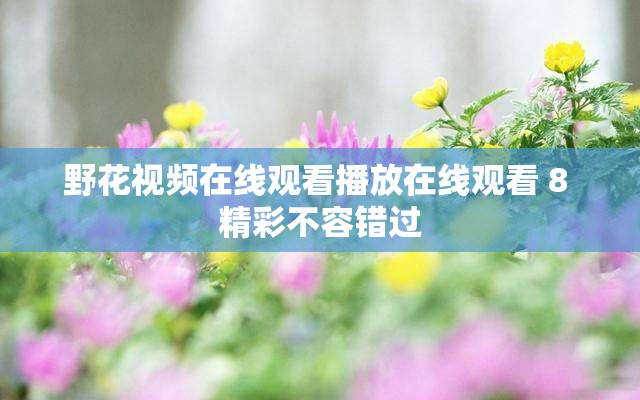 野花视频在线观看播放在线观看 8 精彩不容错过