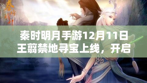 秦时明月手游12月11日王翦禁地寻宝上线，开启资源管理策略新篇章