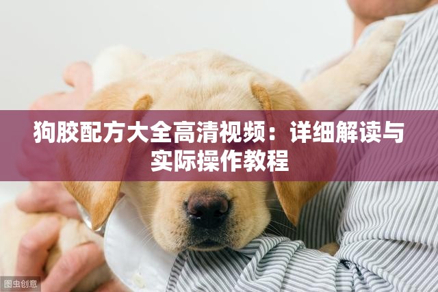 狗胶配方大全高清视频：详细解读与实际操作教程
