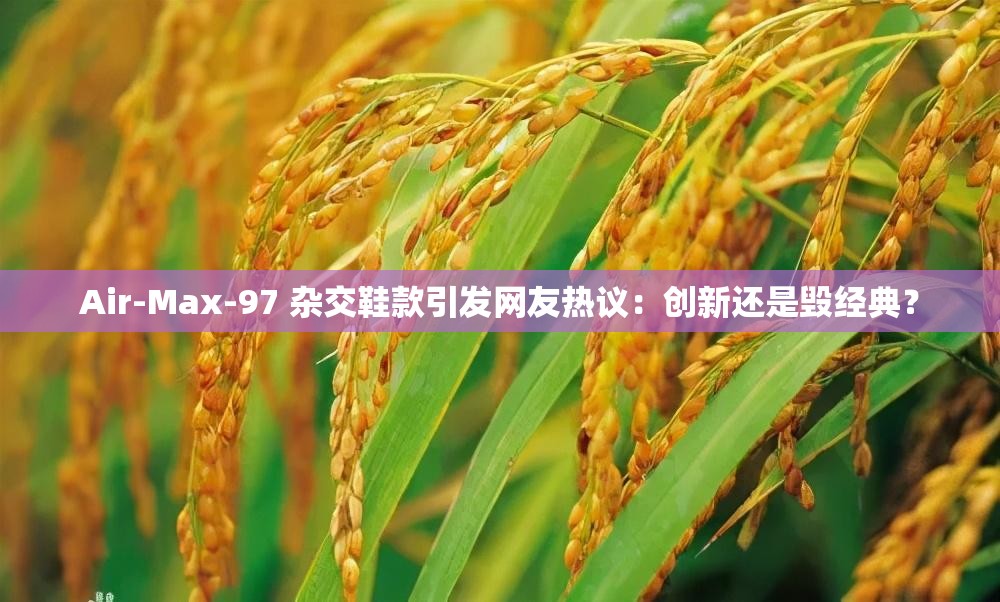 Air-Max-97 杂交鞋款引发网友热议：创新还是毁经典？