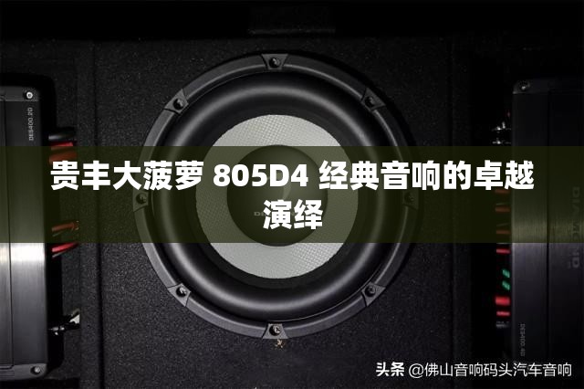 贵丰大菠萝 805D4 经典音响的卓越演绎