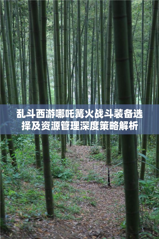 乱斗西游哪吒篝火战斗装备选择及资源管理深度策略解析