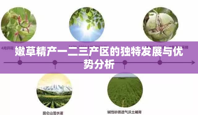 嫩草精产一二三产区的独特发展与优势分析