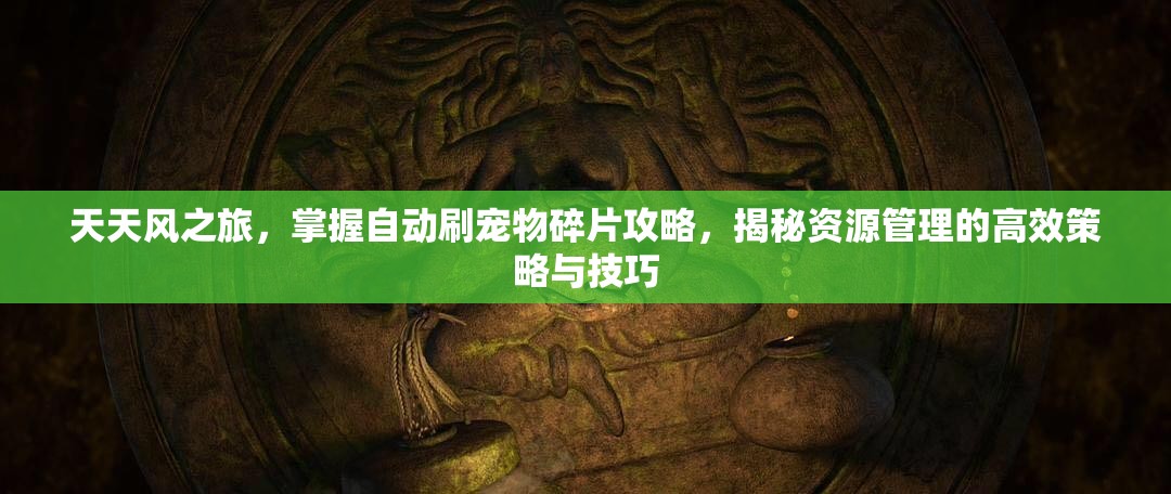 天天风之旅，掌握自动刷宠物碎片攻略，揭秘资源管理的高效策略与技巧