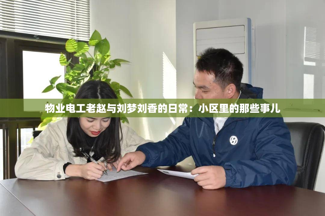 物业电工老赵与刘梦刘香的日常：小区里的那些事儿
