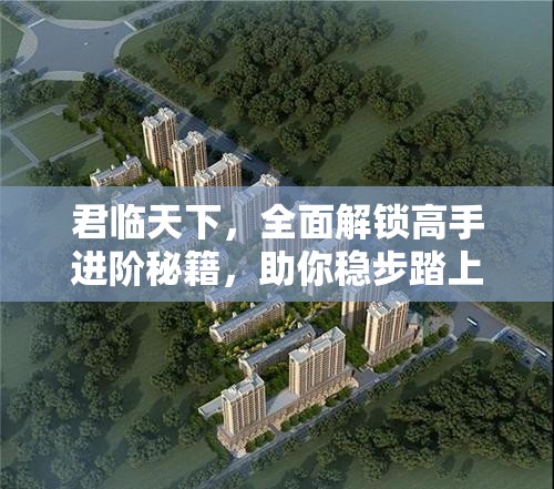 君临天下，全面解锁高手进阶秘籍，助你稳步踏上王者之路的终极指南