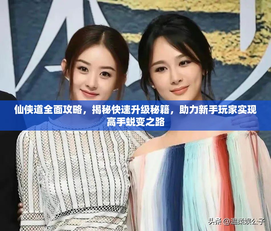 仙侠道全面攻略，揭秘快速升级秘籍，助力新手玩家实现高手蜕变之路