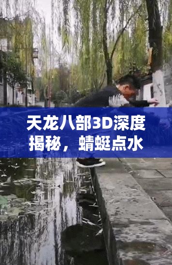 天龙八部3D深度揭秘，蜻蜓点水轻功秘籍，助你开启水上漂传奇之旅