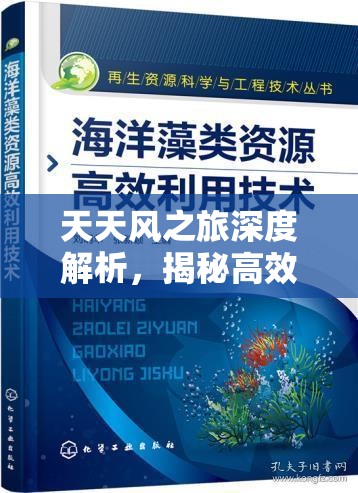 天天风之旅深度解析，揭秘高效抽取星华字典的独家秘籍与技巧