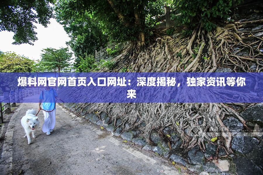 爆料网官网首页入口网址：深度揭秘，独家资讯等你来