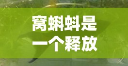 窝蝌蚪是一个释放蝌蚪的地方：生态平衡的守护者