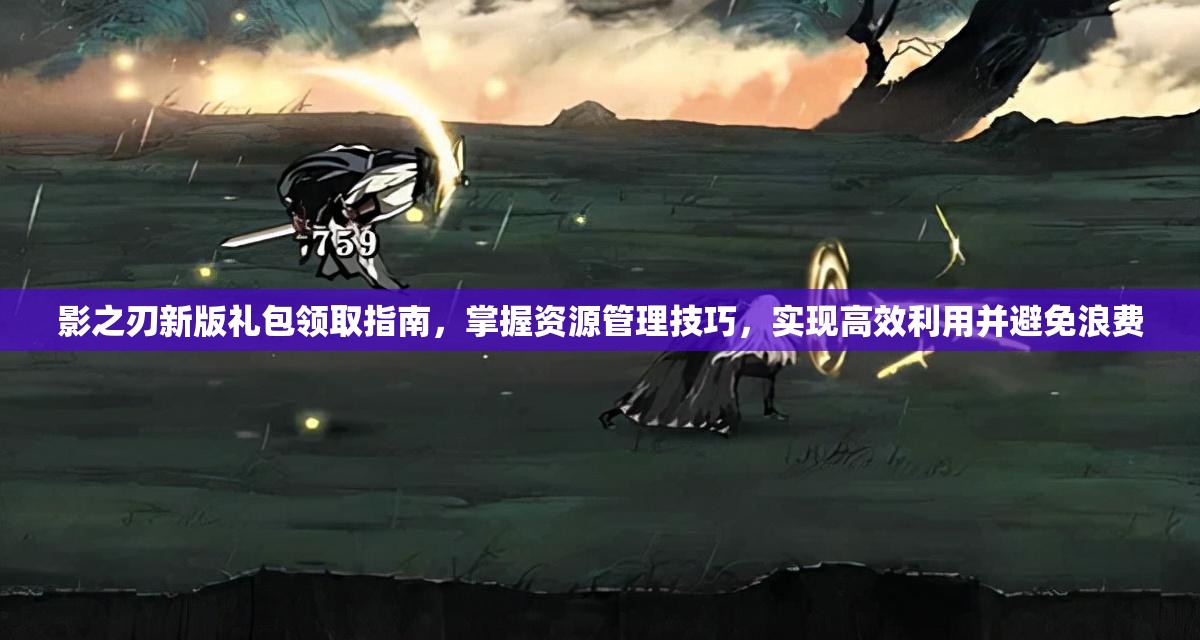 影之刃新版礼包领取指南，掌握资源管理技巧，实现高效利用并避免浪费