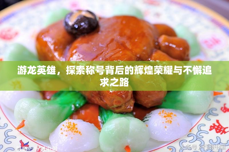 游龙英雄，探索称号背后的辉煌荣耀与不懈追求之路