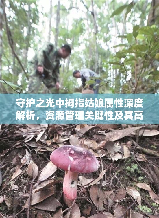 守护之光中拇指姑娘属性深度解析，资源管理关键性及其高效策略应用