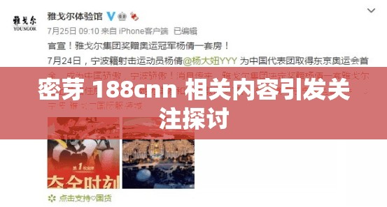 密芽 188cnn 相关内容引发关注探讨