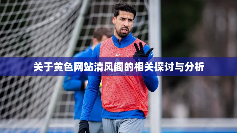 关于黄色网站清风阁的相关探讨与分析