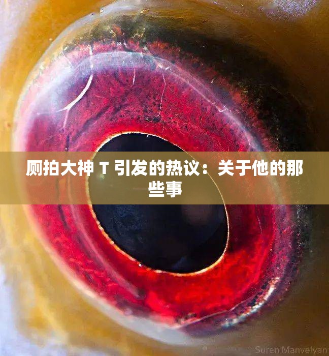 厕拍大神 T 引发的热议：关于他的那些事