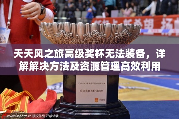 天天风之旅高级奖杯无法装备，详解解决方法及资源管理高效利用策略以实现价值最大化