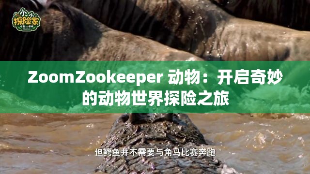 ZoomZookeeper 动物：开启奇妙的动物世界探险之旅