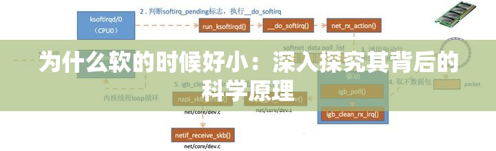 为什么软的时候好小：深入探究其背后的科学原理