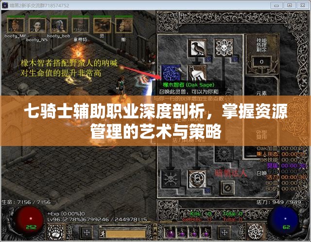 七骑士辅助职业深度剖析，掌握资源管理的艺术与策略